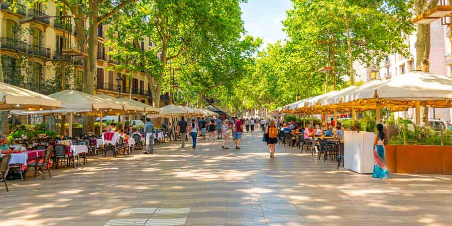 Touring the fascinating cities of Barcelona and Seville
